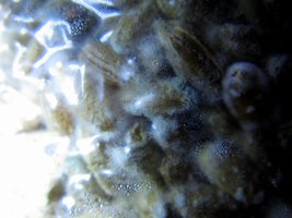 IMG_1999.JPG