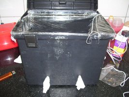 100_9810.JPG