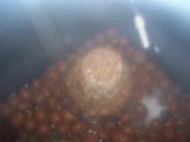 100_9822.JPG