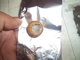 106.JPG