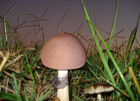 25j9w8i.jpg