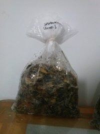 CAM00130.jpg