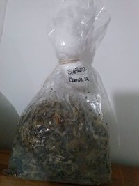 CAM00131.jpg