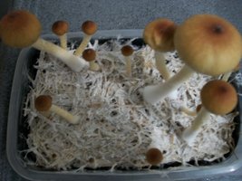 100_6200.jpg