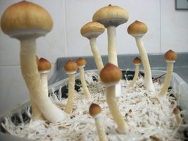 100_6199.jpg
