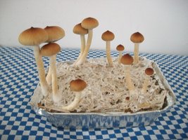 100_6201.jpg