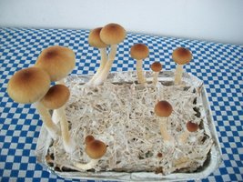 100_6202.jpg