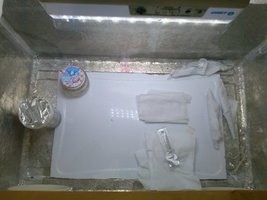 CAM00222.jpg