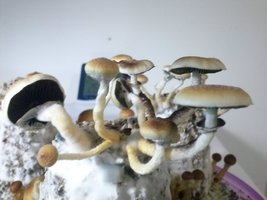 CAM00256.jpg