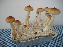 100_6221.jpg