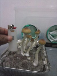 CAM00191.jpg