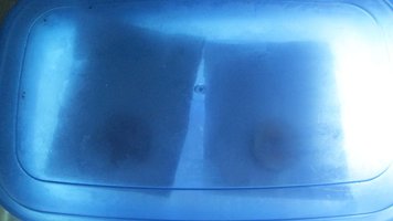 IMG_2313.jpg