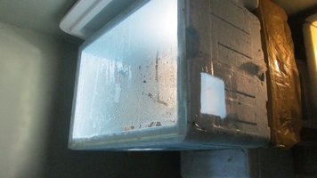 IMG_2311.jpg