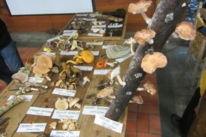 IMG_4753.JPG
