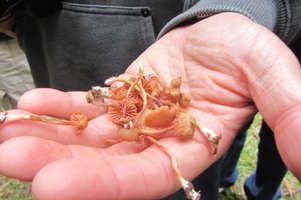 IMG_4806.JPG