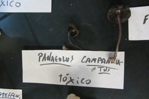 IMG_4788.JPG