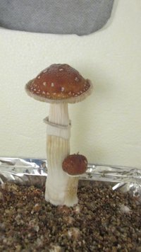 IMG_2324.jpg