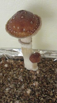 IMG_2325.jpg