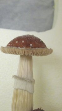 IMG_2326.jpg