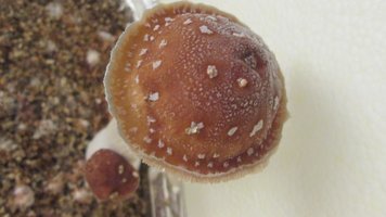 IMG_2327.jpg