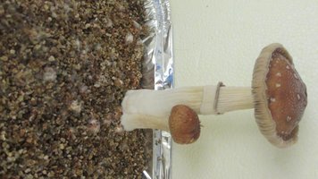 IMG_2331.jpg