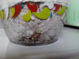 IMG_20131218_190457.jpg