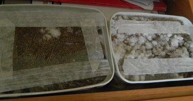 DSCN1410.JPG