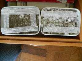 DSCN1417.JPG
