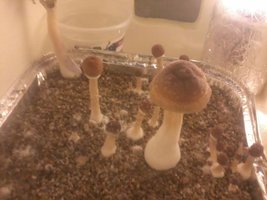unnamed (1).jpg