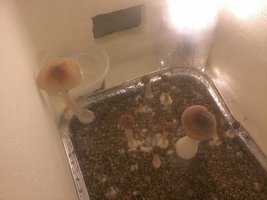 unnamed (2).jpg