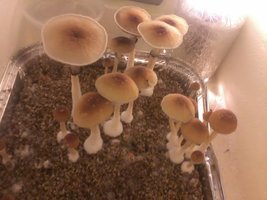 unnamed (6).jpg