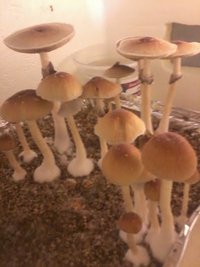 unnamed (2).jpg