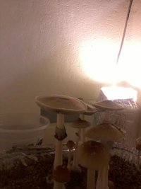 unnamed (4).jpg