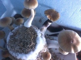 unnamed (2).jpg