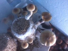 unnamed (8).jpg