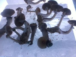 unnamed (3).jpg