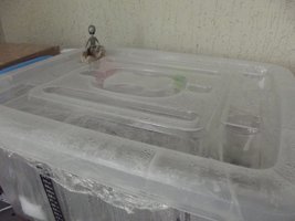 DSCF1026.jpg