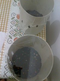 2013-12-26-530.jpg