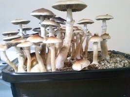 CAM00536.jpg