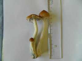 DSCN1492.JPG