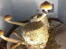 unnamed (2).jpg