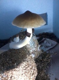 unnamed (6).jpg