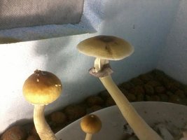 unnamed (7).jpg
