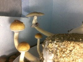 unnamed (8).jpg