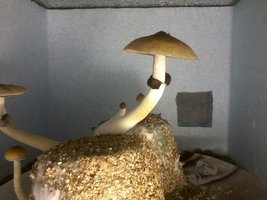 unnamed (9).jpg