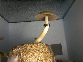 unnamed (10).jpg