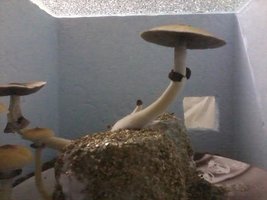 unnamed (12).jpg