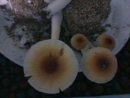 unnamed (14).jpg