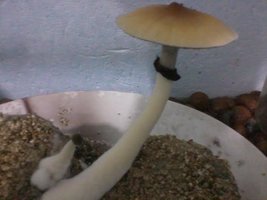 unnamed (15).jpg