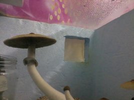 unnamed (20).jpg